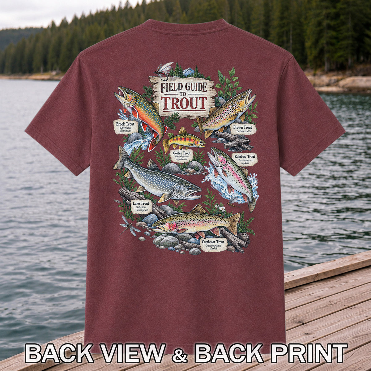 Field Guide to Trout Vintage Freshwater Fishing Graphic T-Shirt | Back Print