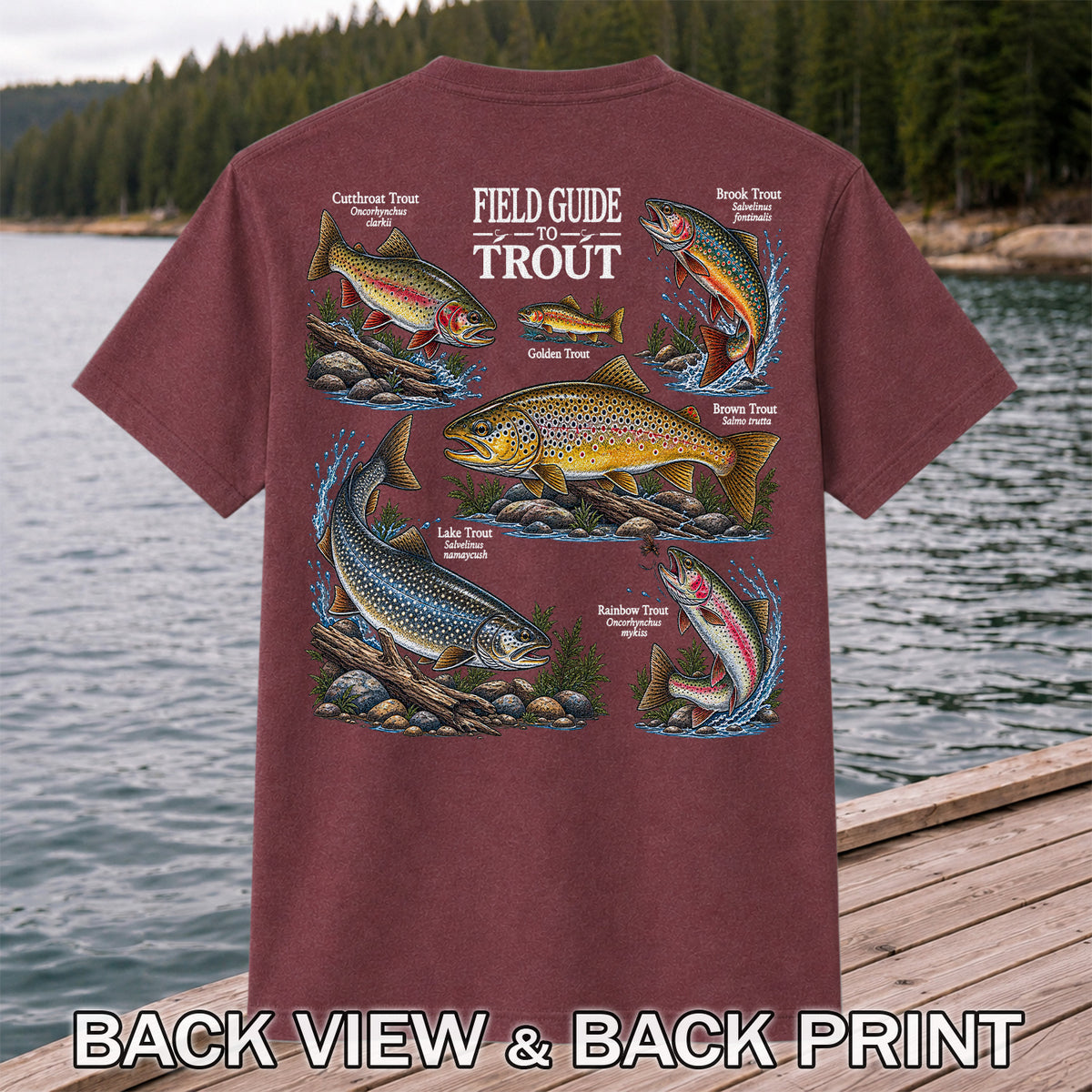 Field Guide to Trout Fishing Species Graphic T-Shirt | Back Print