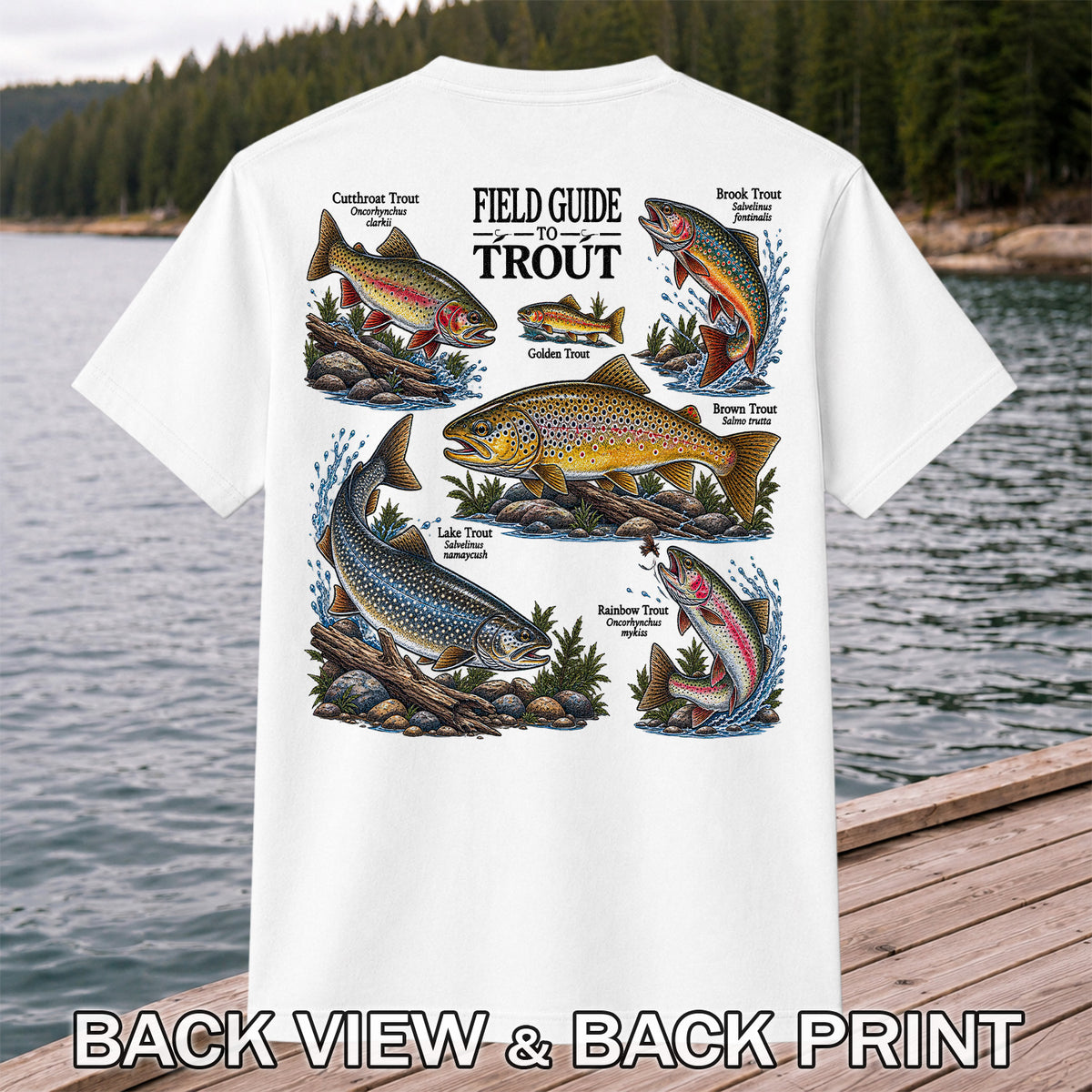 Field Guide to Trout Fishing Species Graphic T-Shirt | Back Print